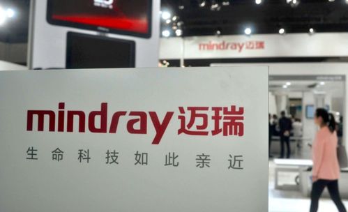 下半年北上资金增持前15强出炉 两股获北上资金增持超百亿